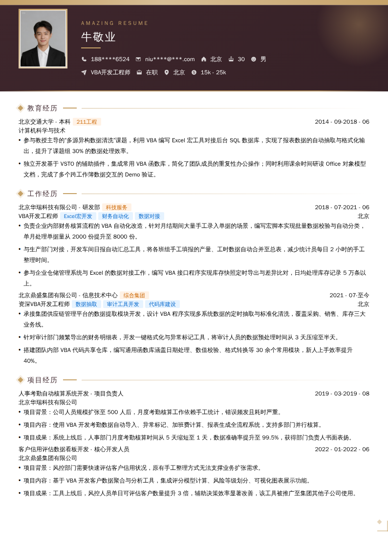 VBA开发工程师简历模板