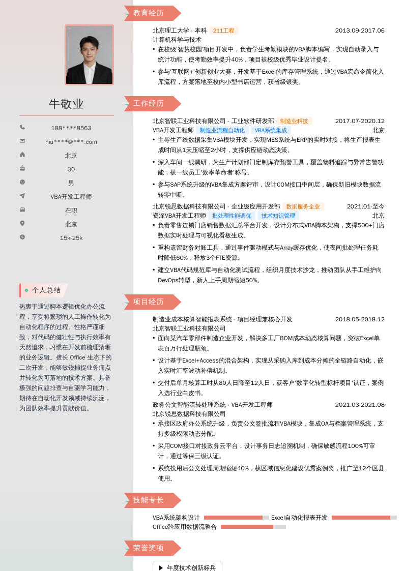 VBA开发工程师简历模板