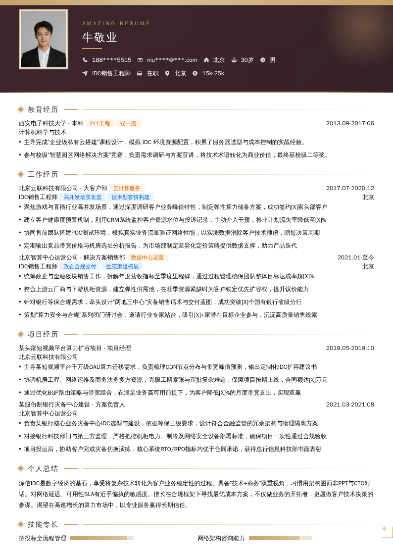 IDC销售工程师简历模板
