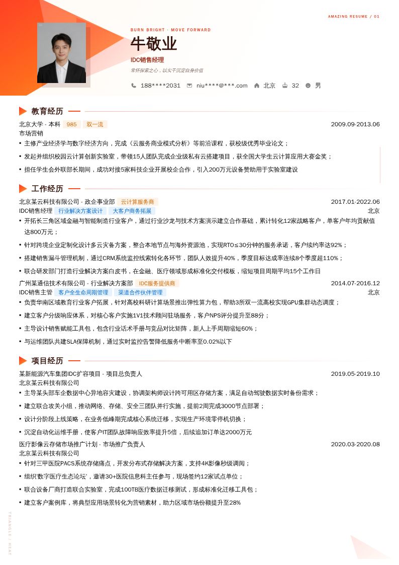 IDC销售经理简历模板