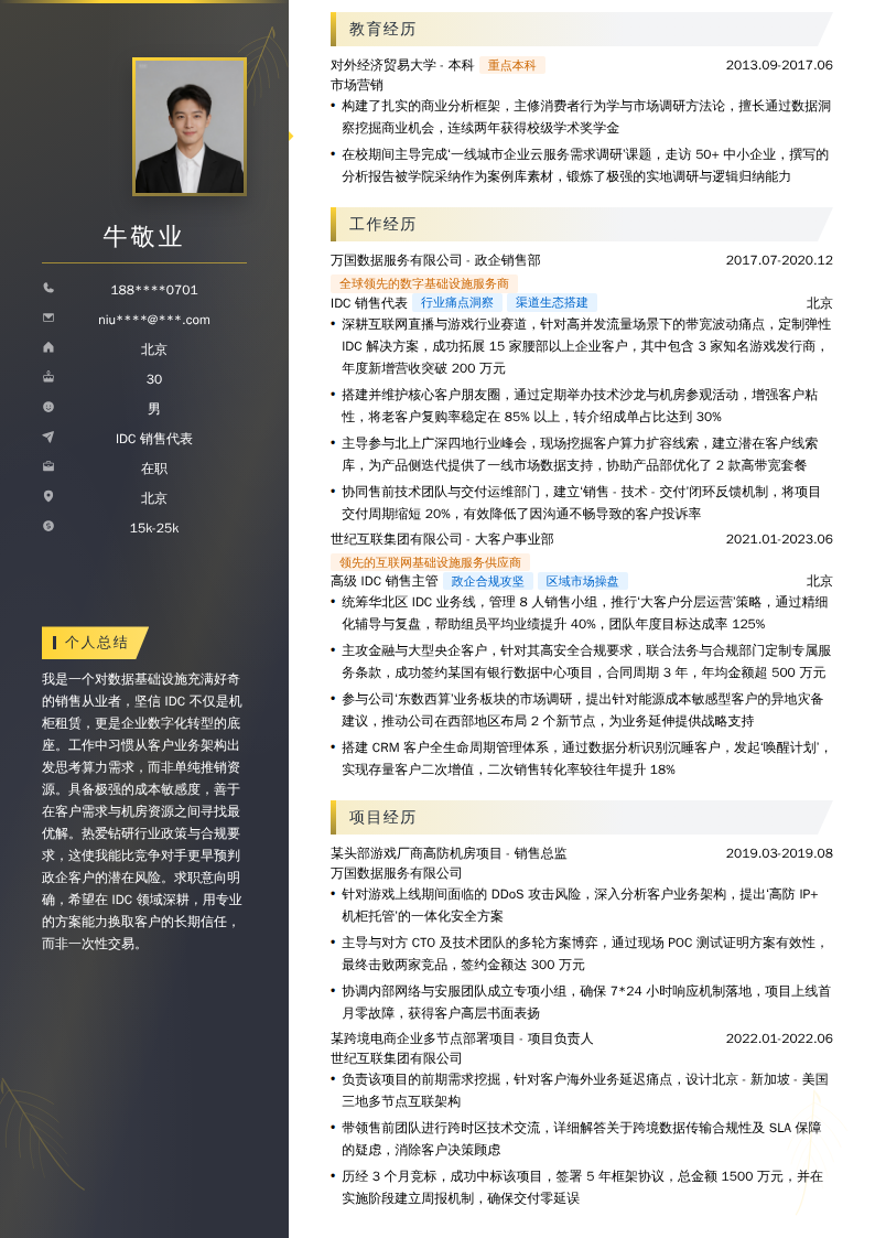 IDC销售代表简历模板