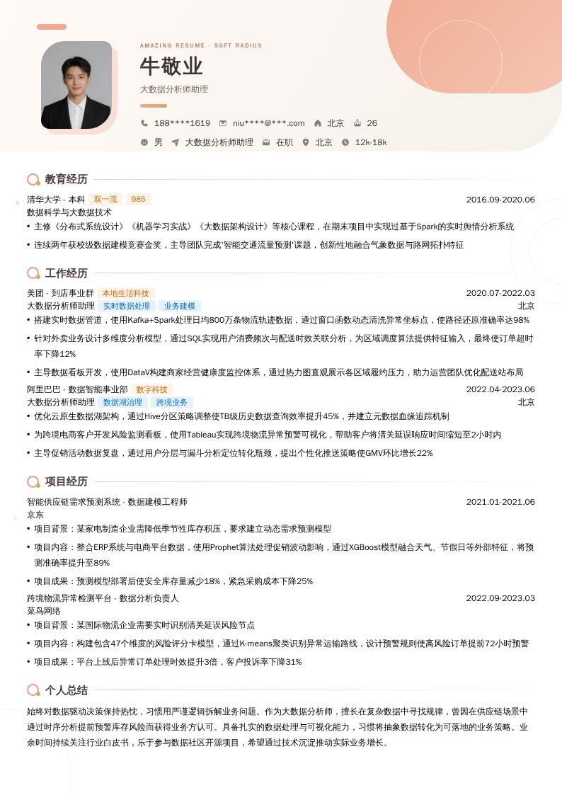 大数据分析师助理简历模板