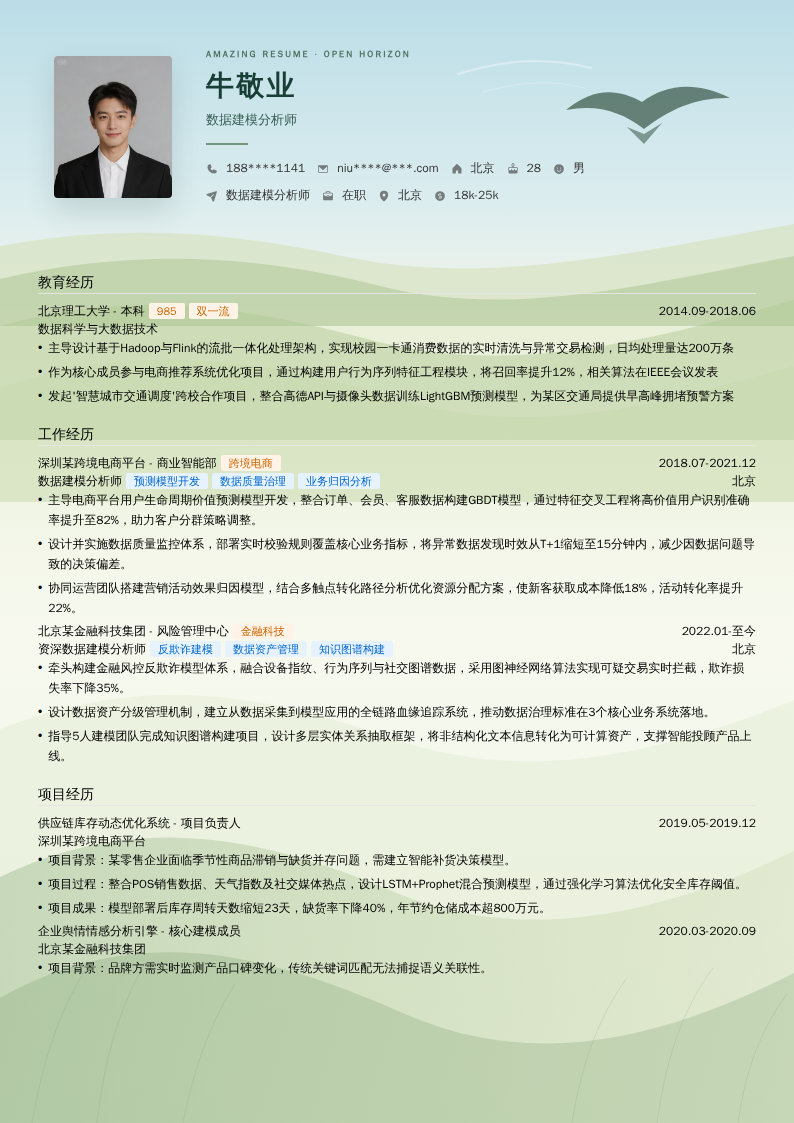 数据建模分析师简历模板