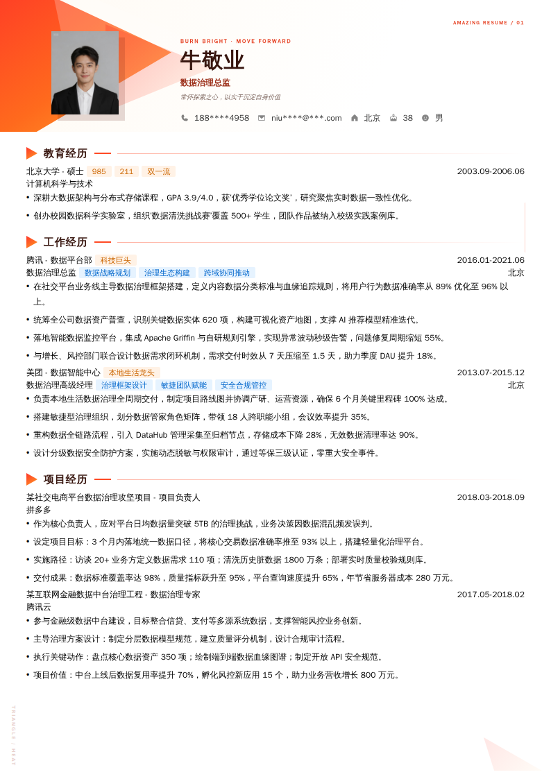 数据治理总监简历模板