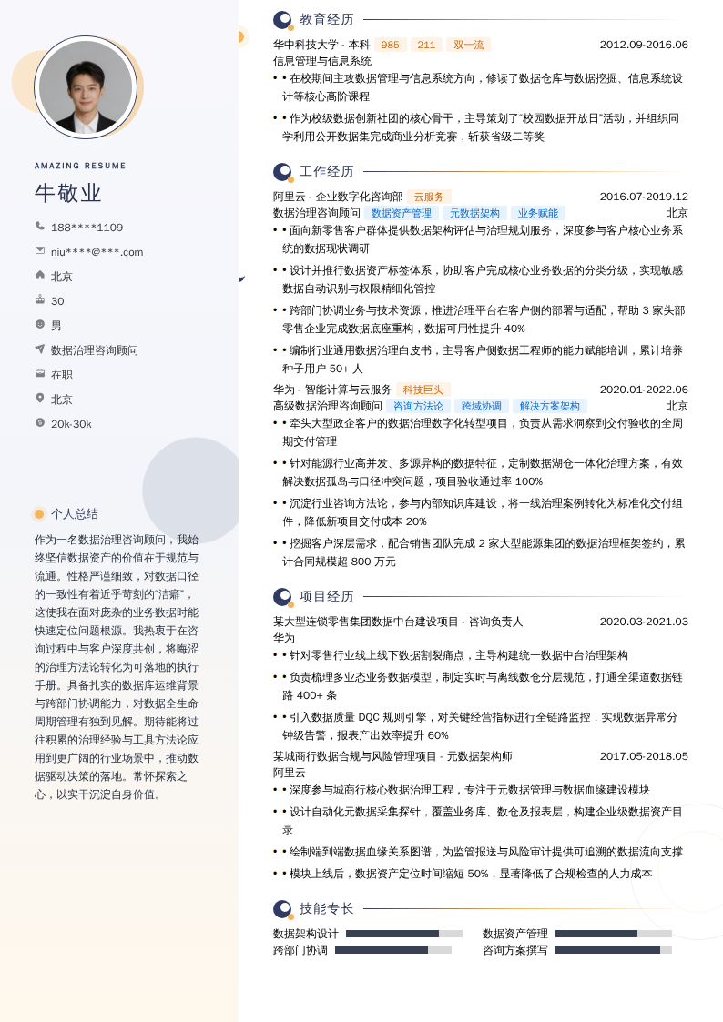 数据治理咨询顾问简历模板