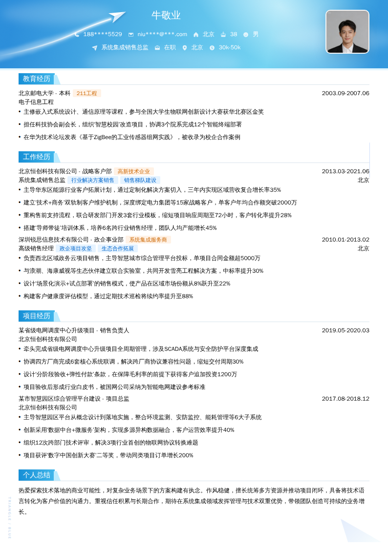 系统集成销售总监简历模板
