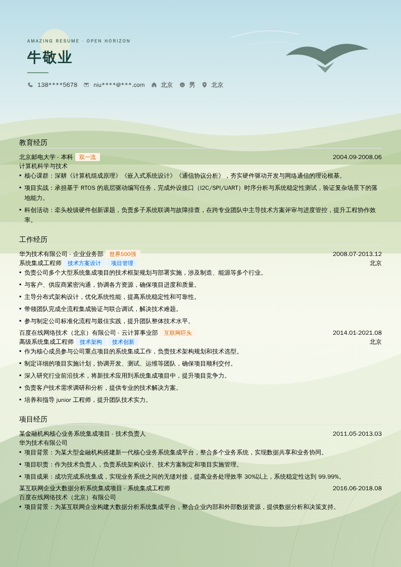 高级系统集成工程师简历模板