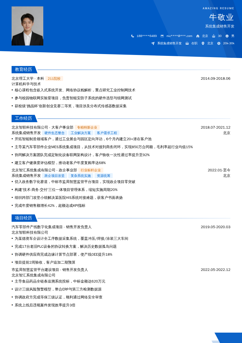 系统集成销售开发简历模板
