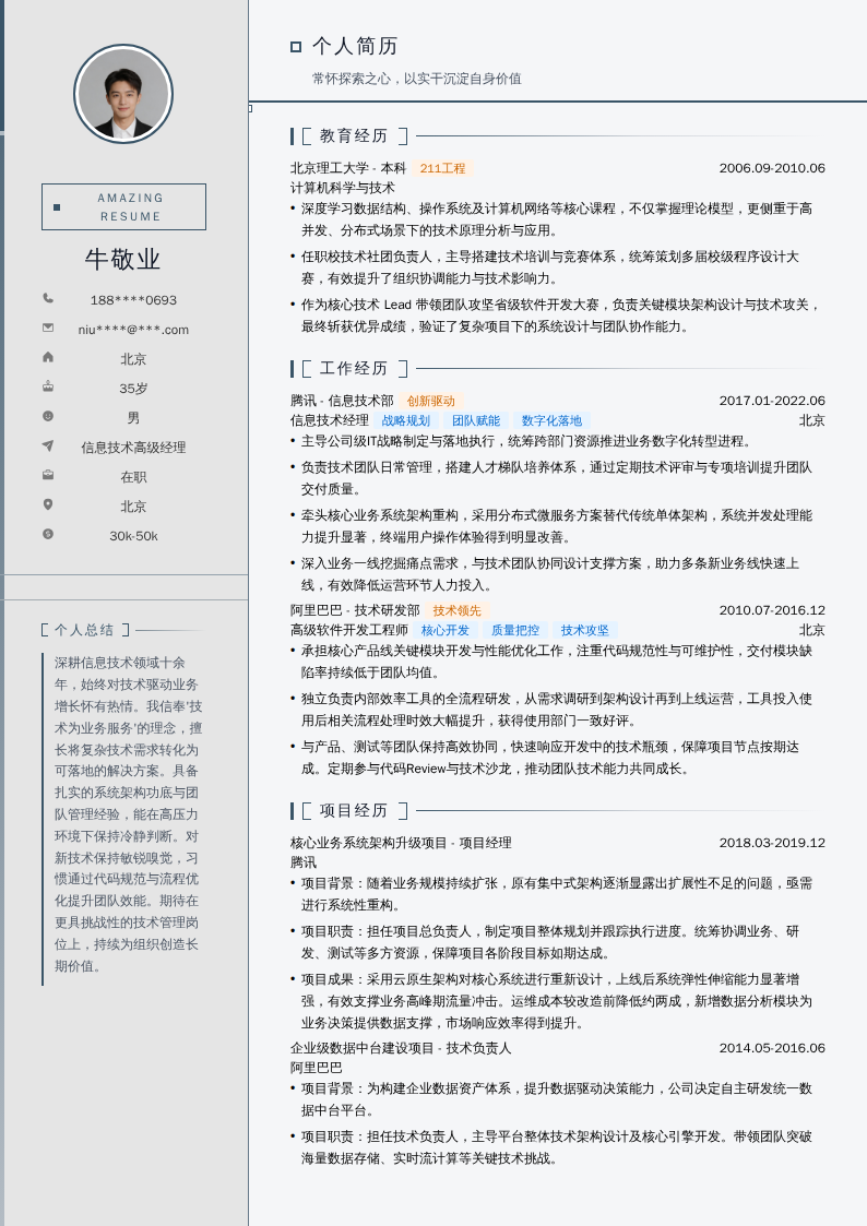 信息技术高级经理简历模板
