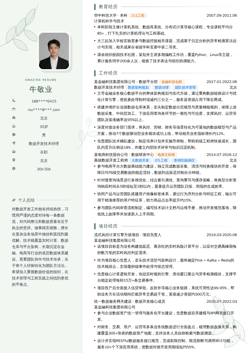 数据开发技术经理简历模板