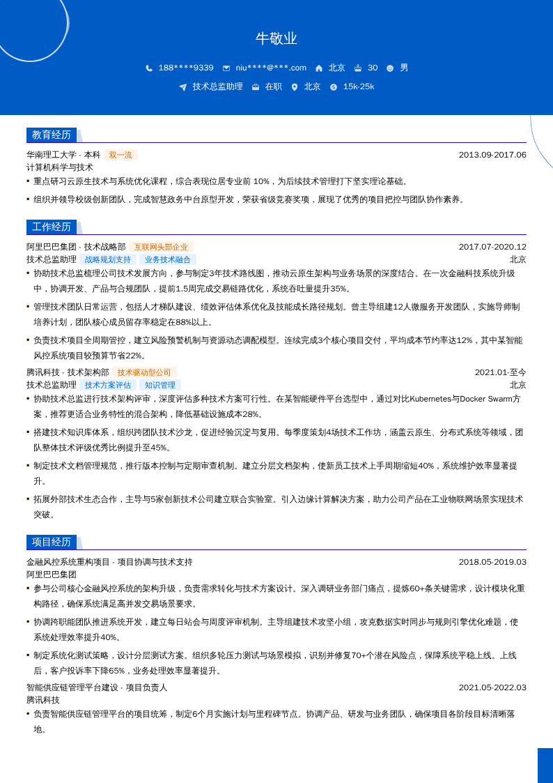 技术总监助理简历模板