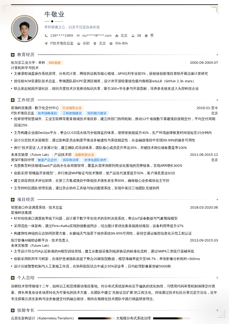 IT技术项目总监简历模板