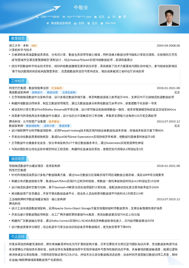 高级数据架构师简历模板