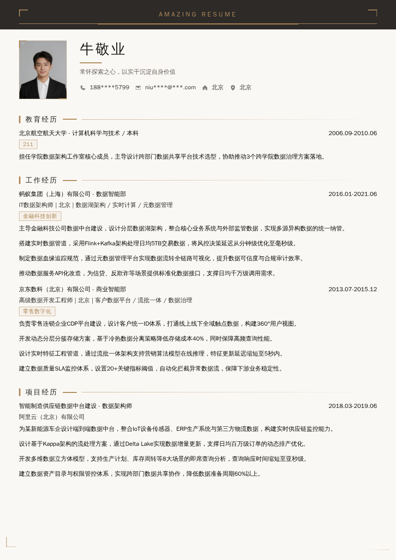 IT数据架构师简历模板