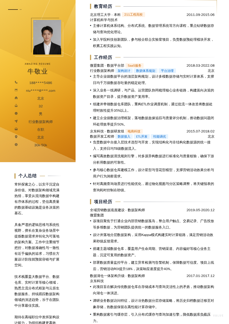行业数据架构师简历模板