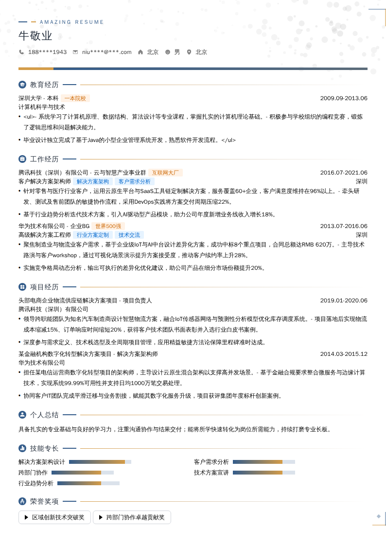 客户解决方案架构师简历模板
