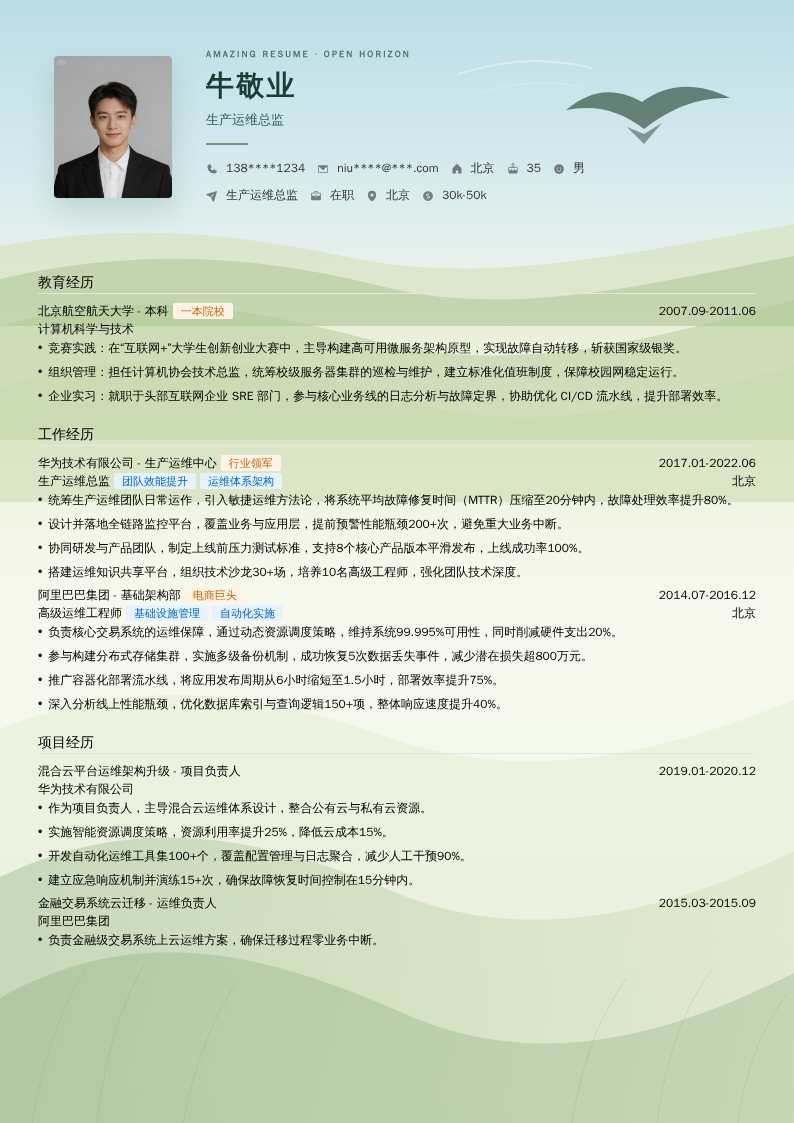 生产运维总监简历模板