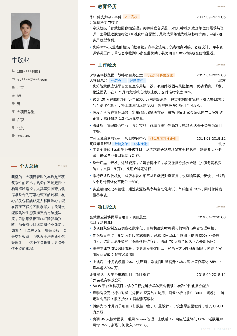 大项目总监简历模板