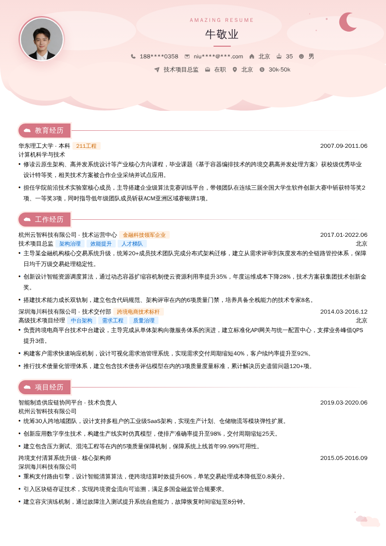 技术项目总监简历模板