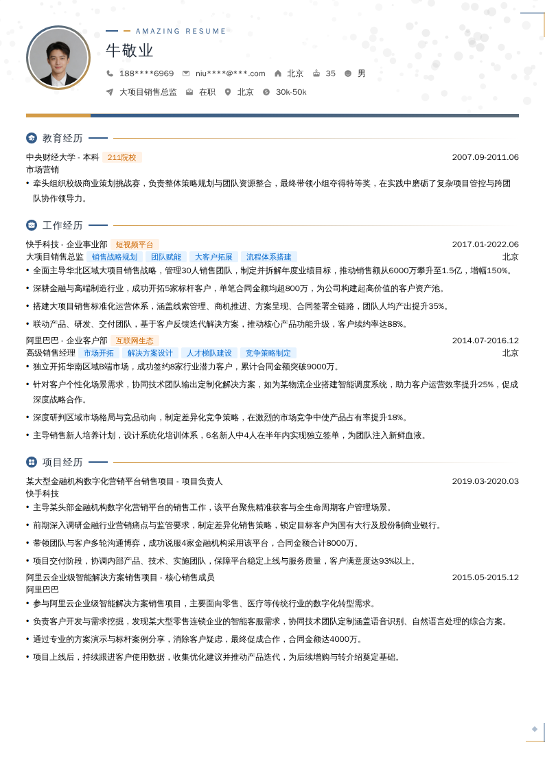 大项目销售总监简历模板