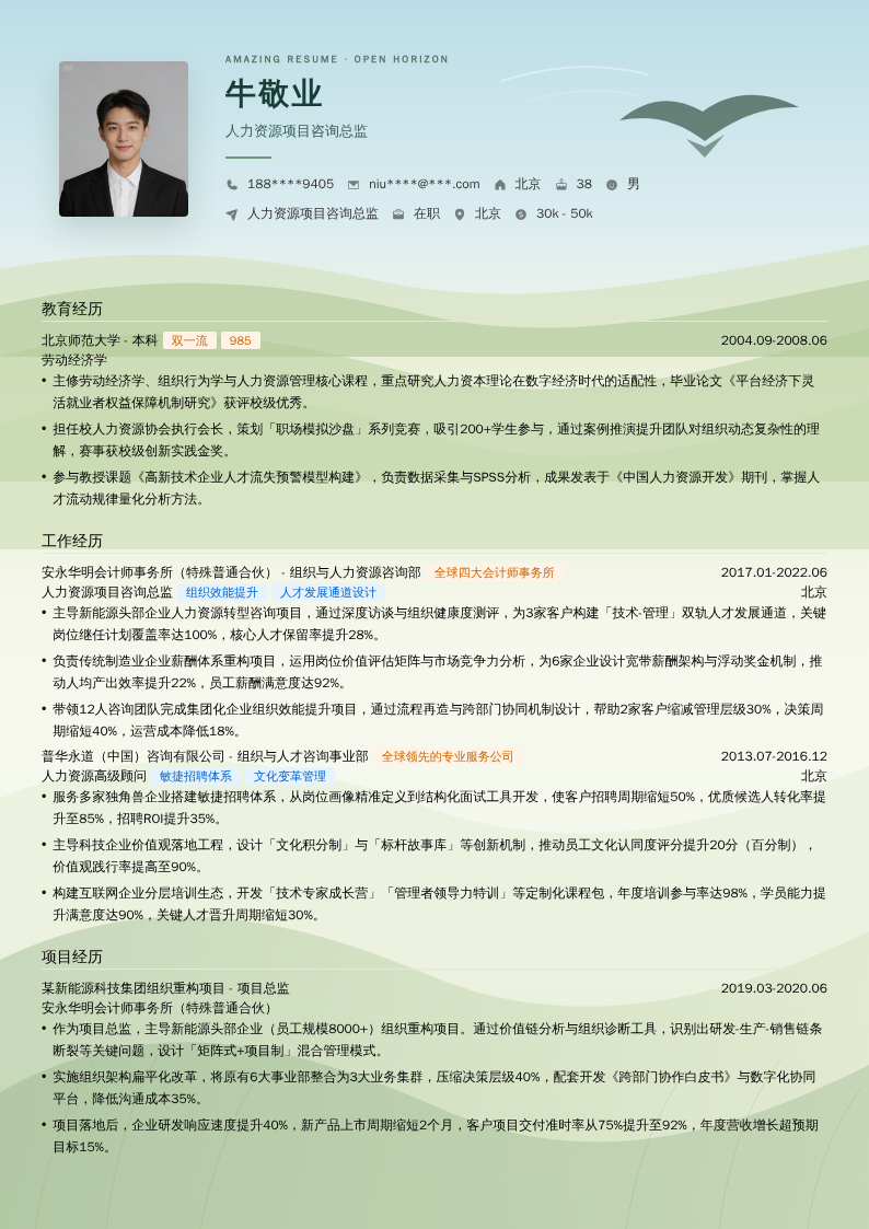 人力资源项目咨询总监简历模板