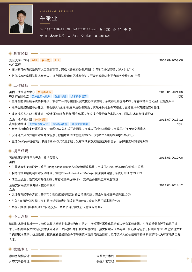 IT技术项目总监简历模板