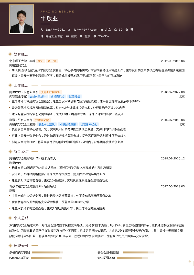 内容安全专家简历模板