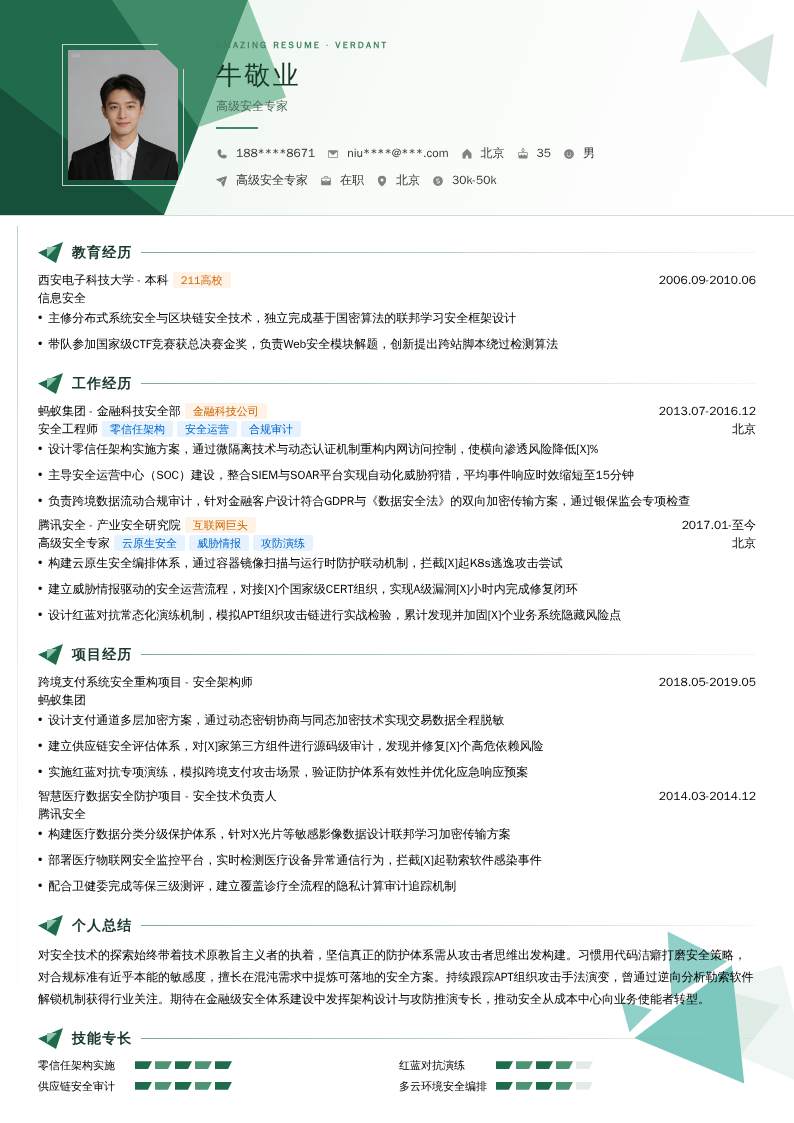 高级安全专家简历模板
