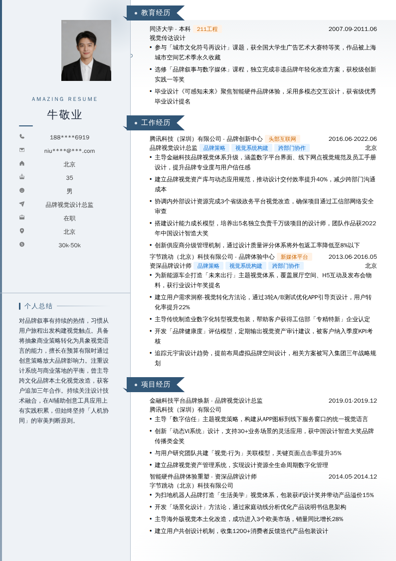 品牌视觉设计总监简历模板