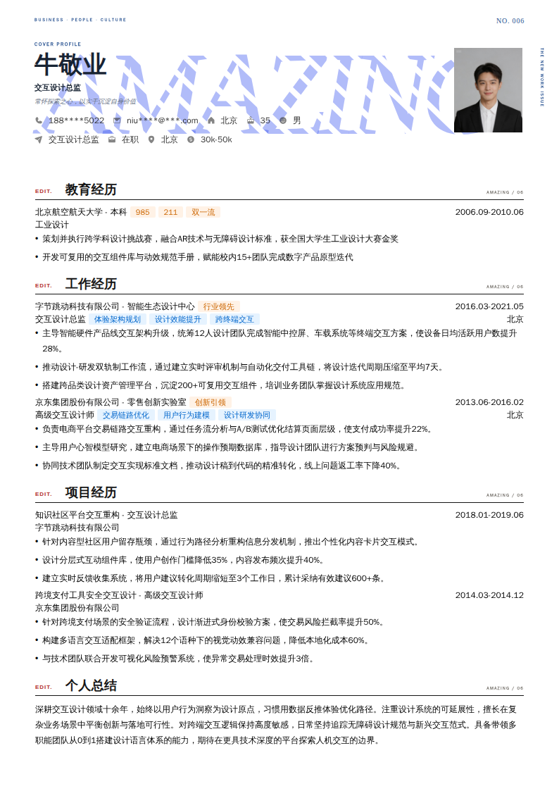交互设计总监简历模板