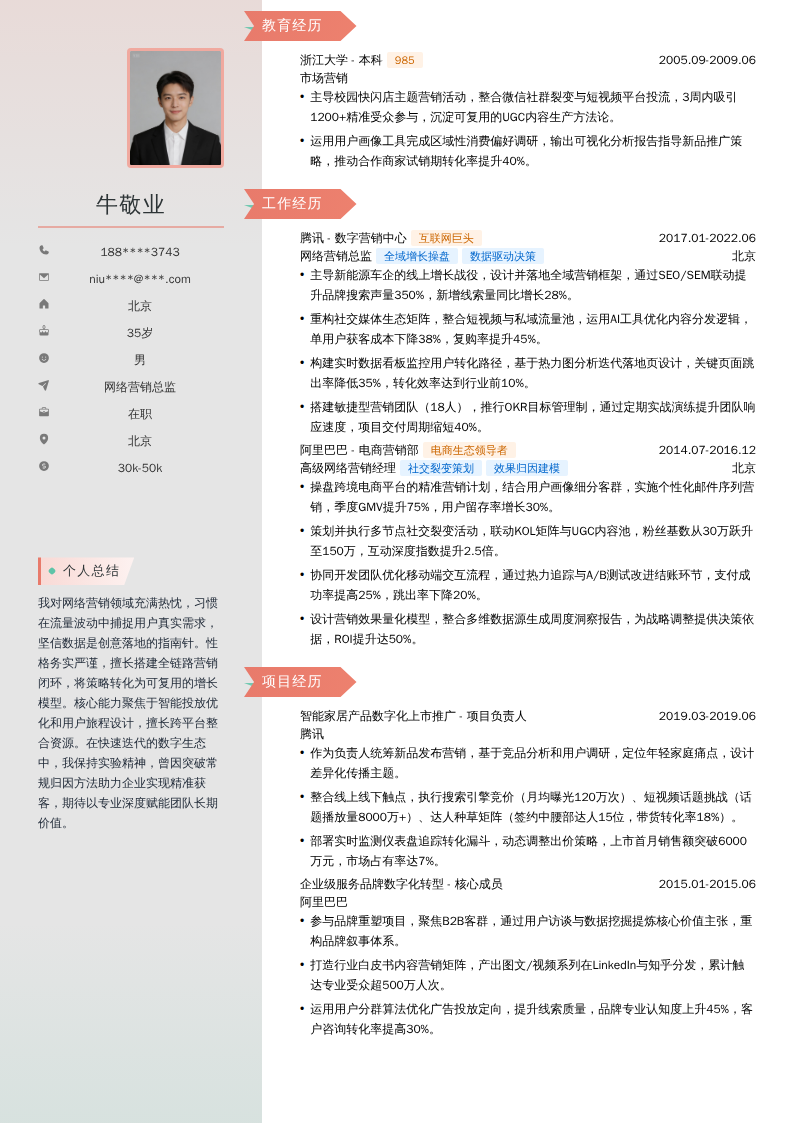 网络营销总监简历模板