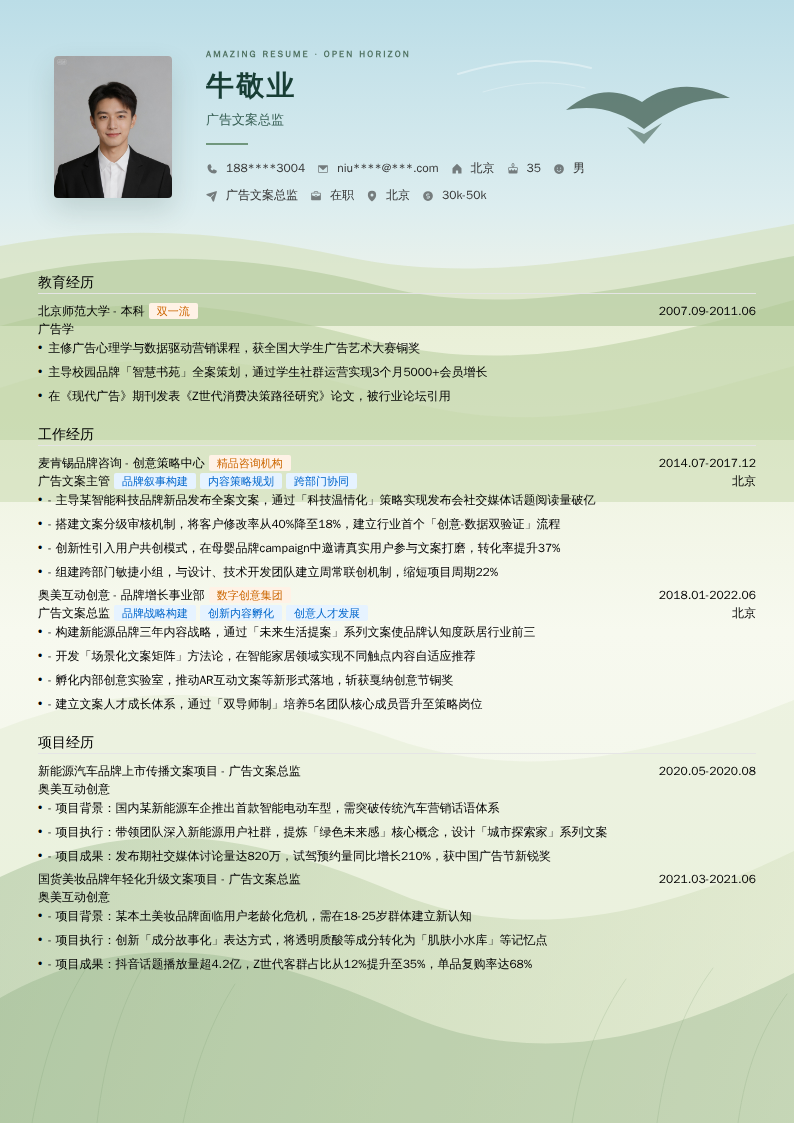 广告文案总监简历模板