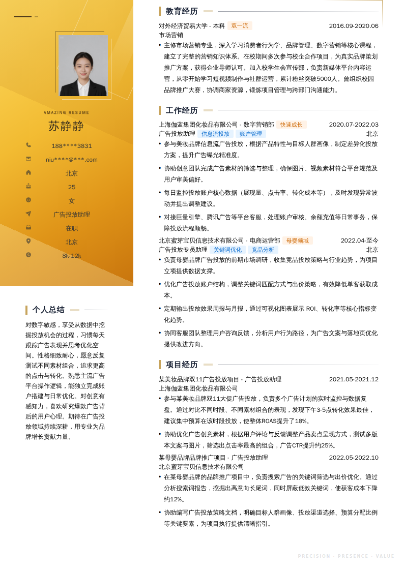 广告投放助理简历模板