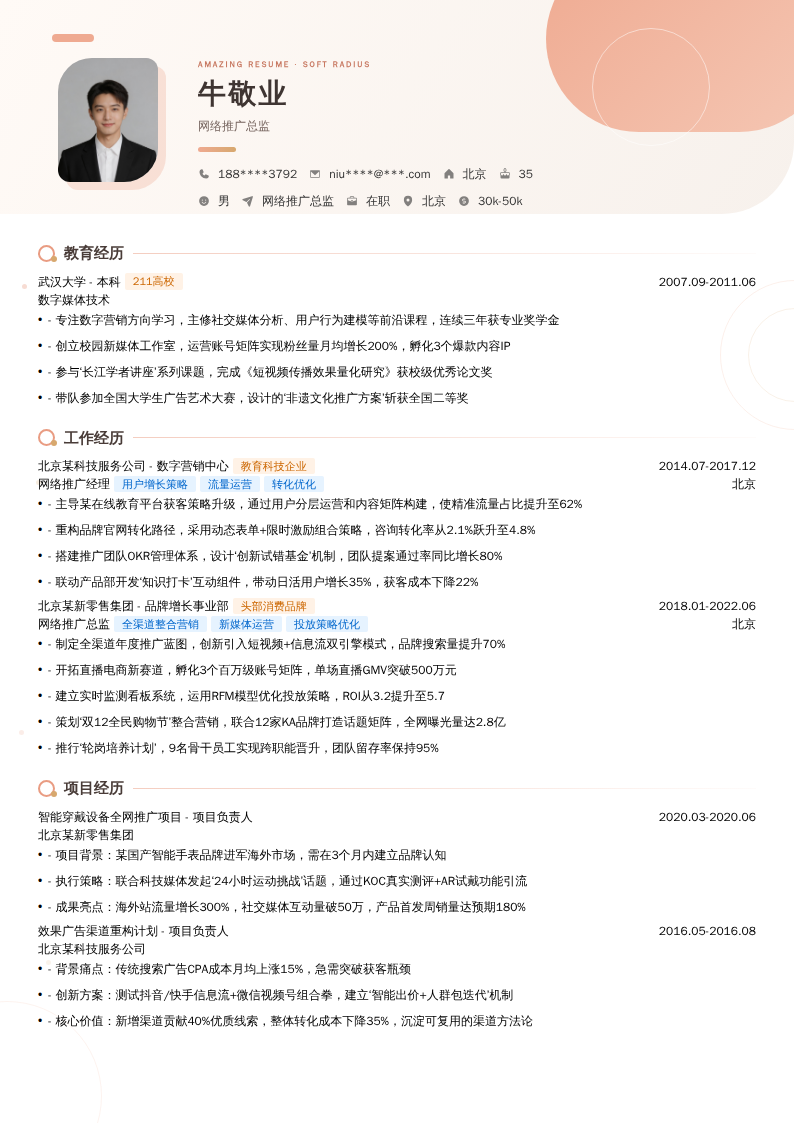 网络推广总监简历模板