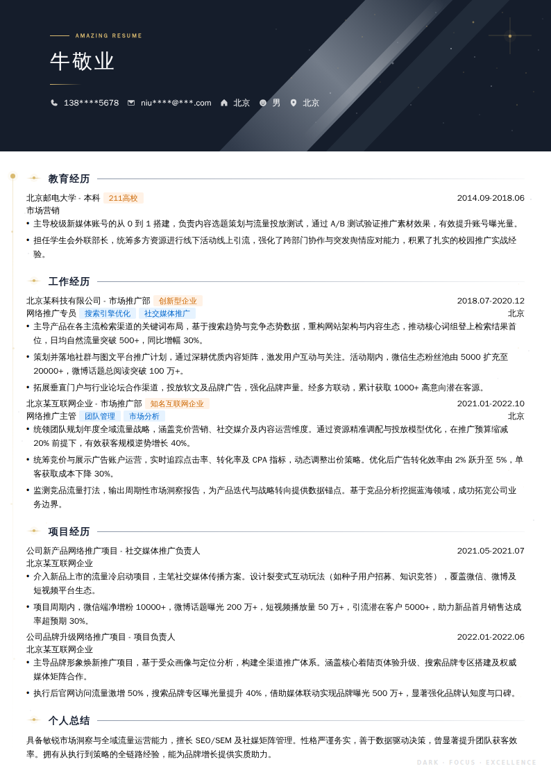网络推广主任简历模板