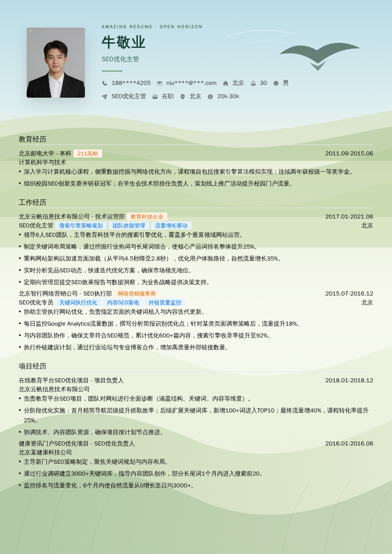 SEO优化主管简历模板
