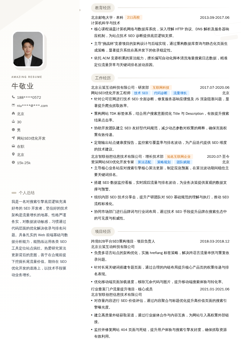 网站SEO优化开发简历模板