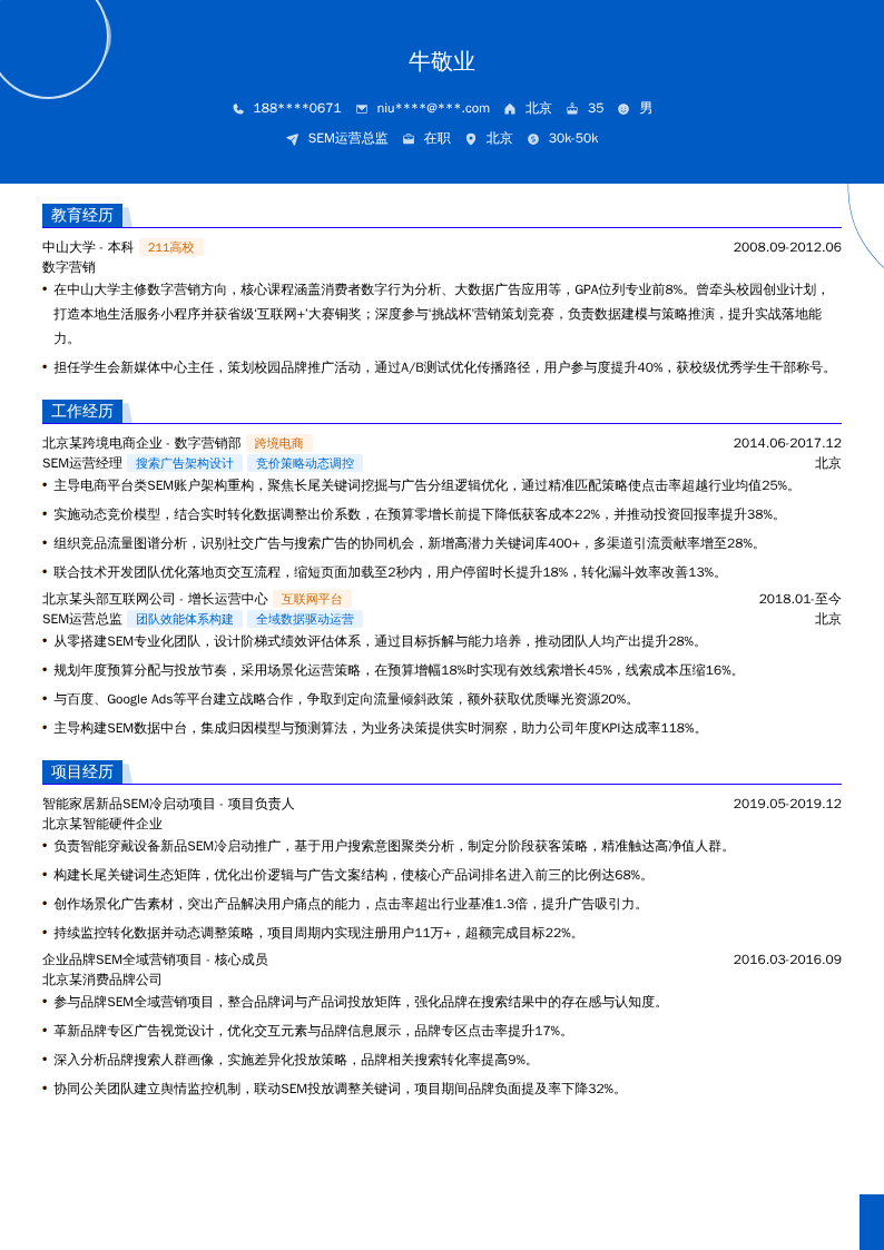 SEM运营总监简历模板