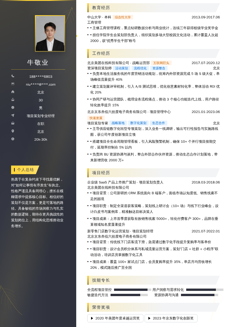 项目策划专业经理简历模板