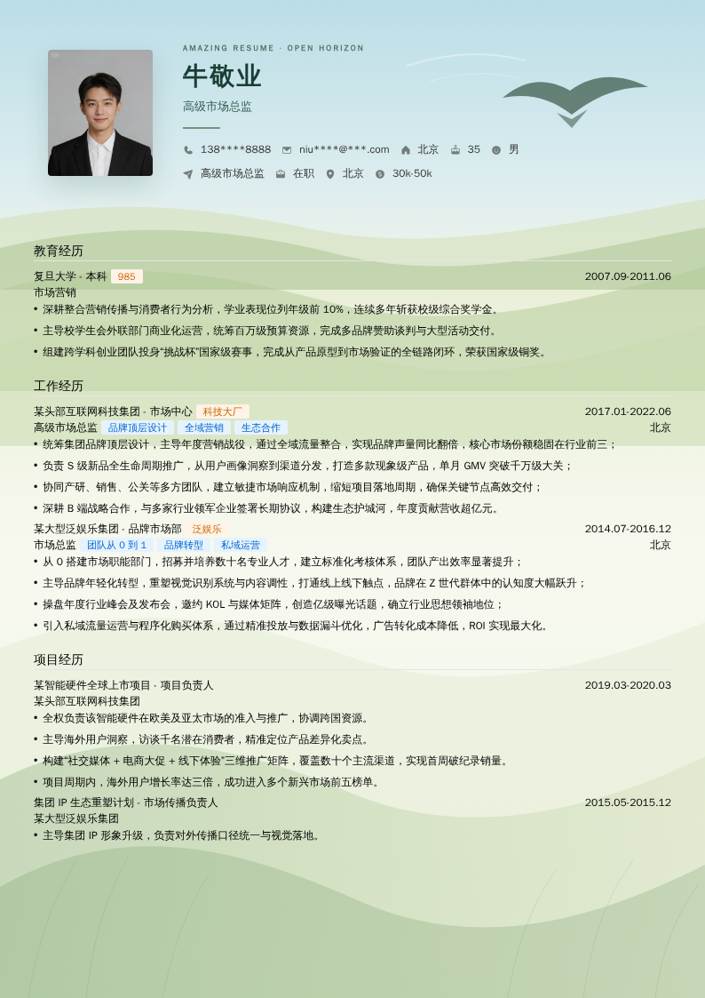 高级市场总监简历模板
