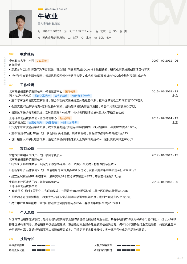 国内市场销售总监简历模板