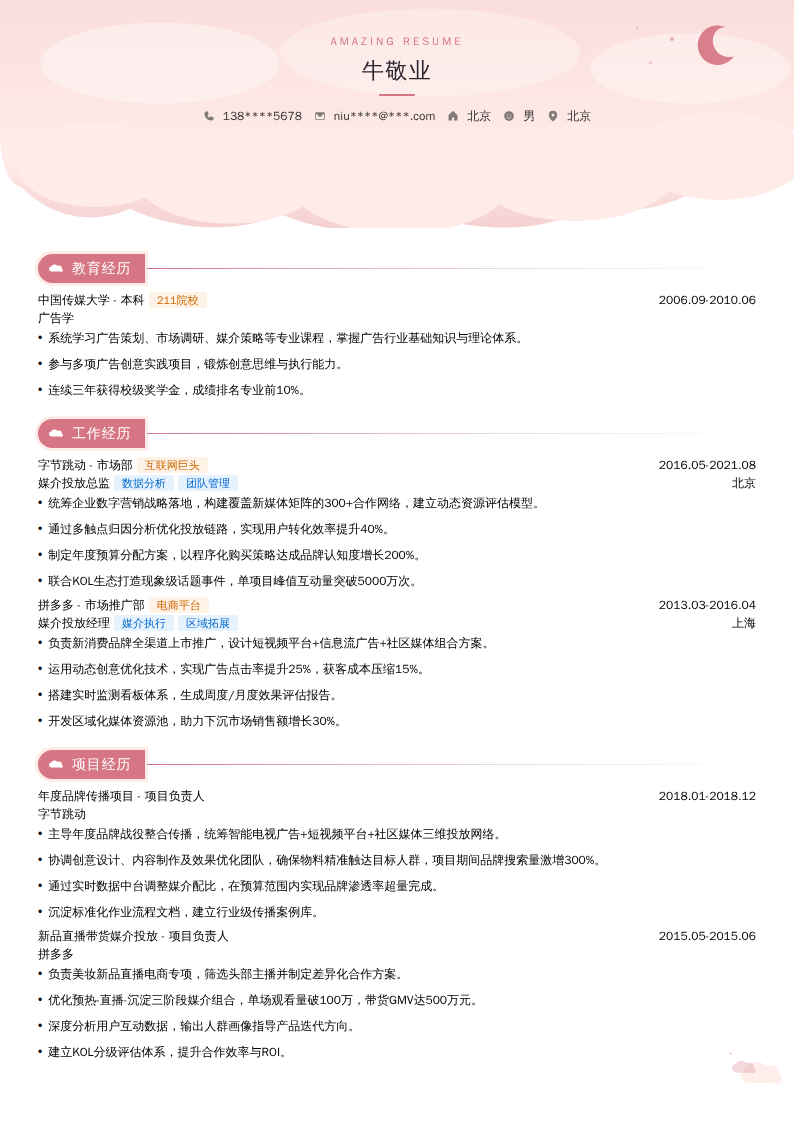 媒介投放总监简历模板