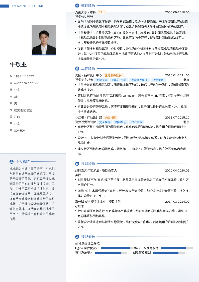视觉创意总监简历模板