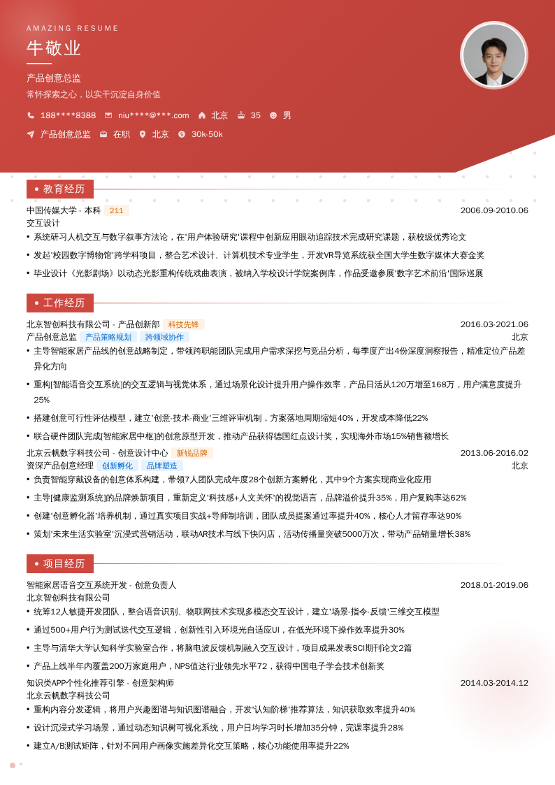 产品创意总监简历模板
