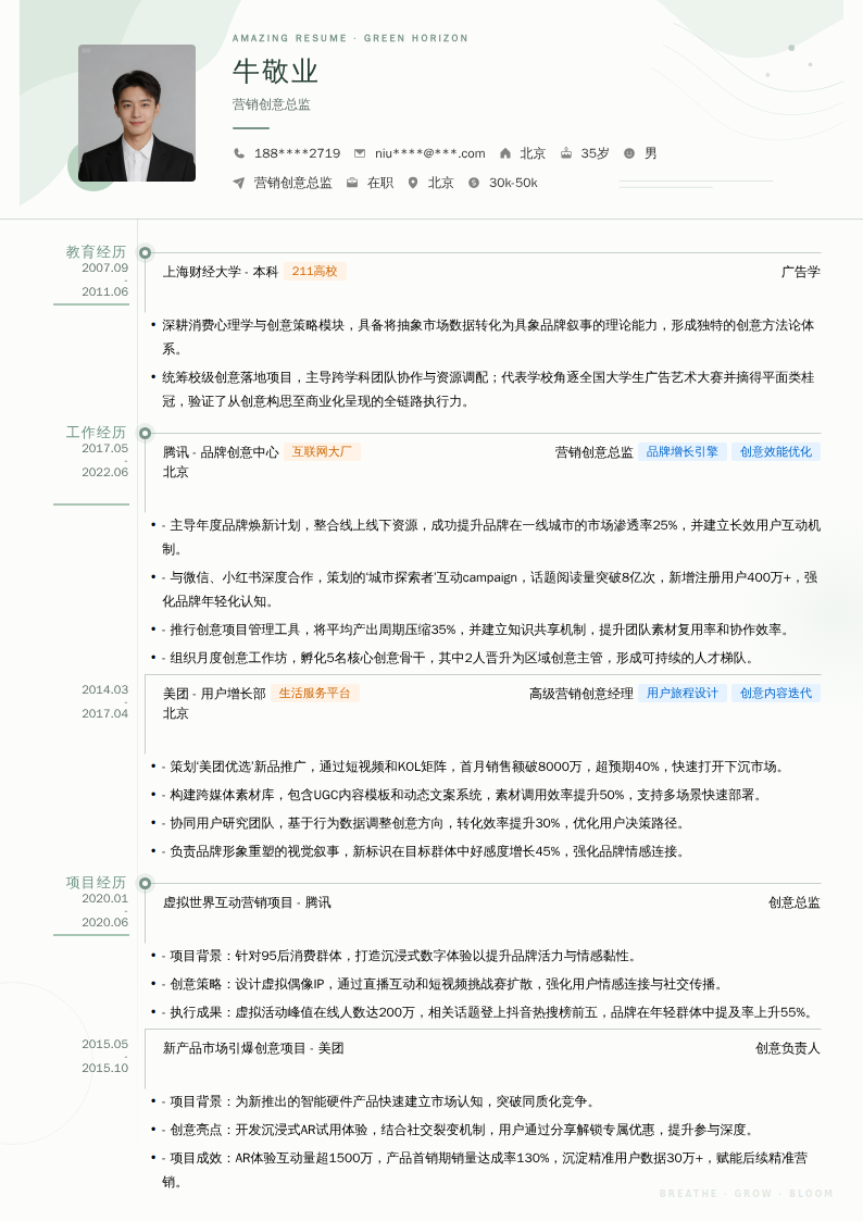 营销创意总监简历模板