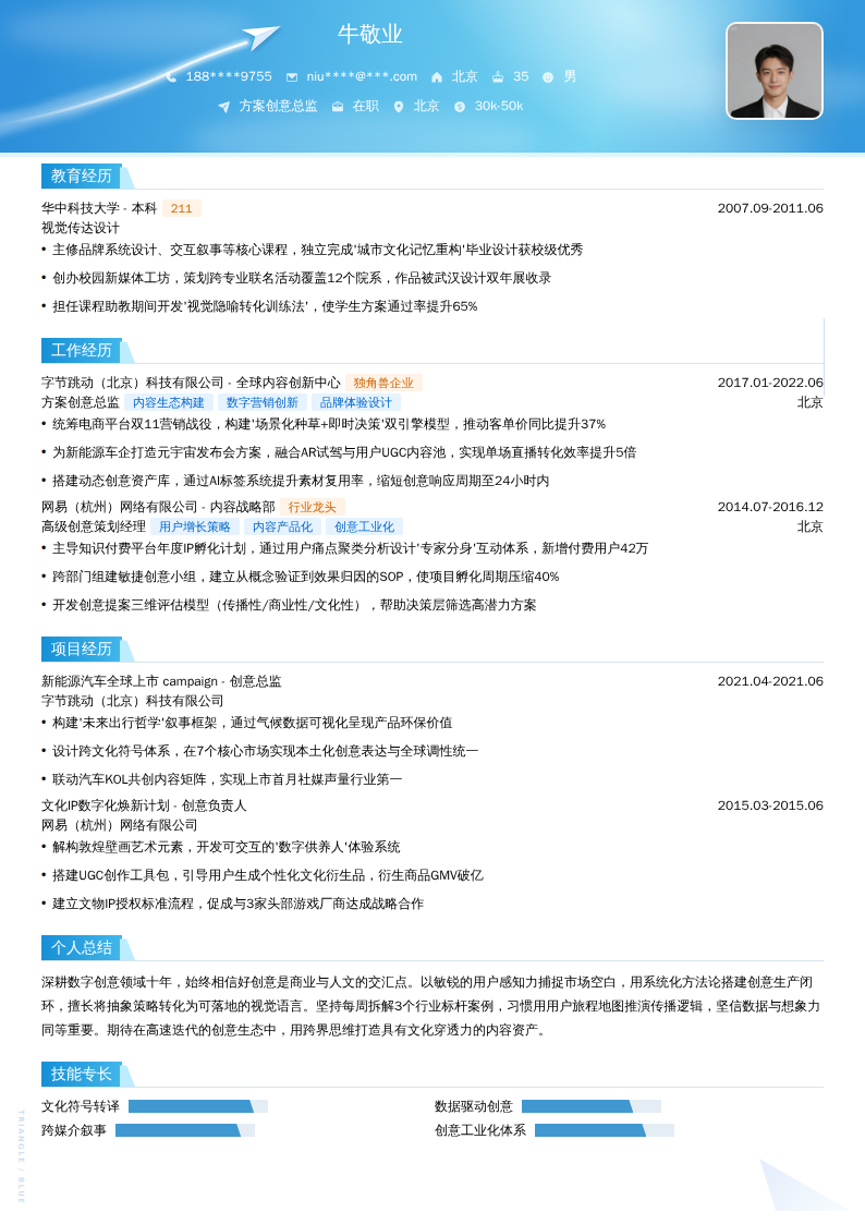 方案创意总监简历模板