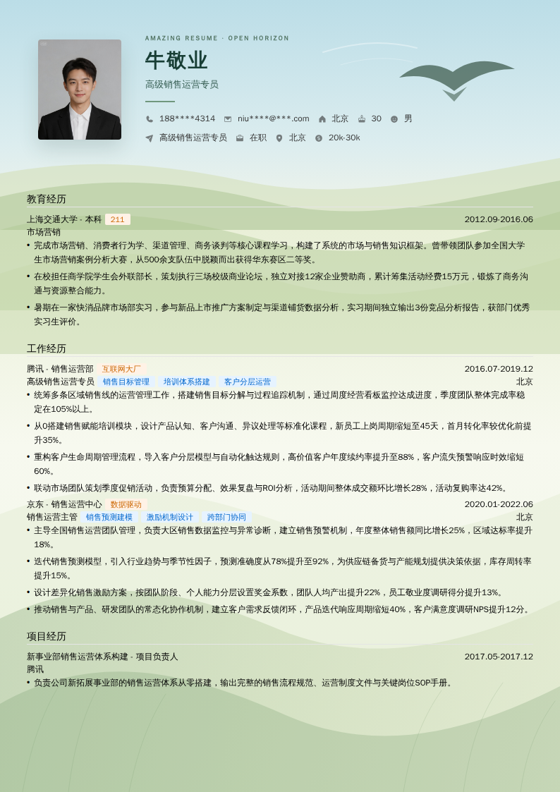高级销售运营专员简历模板