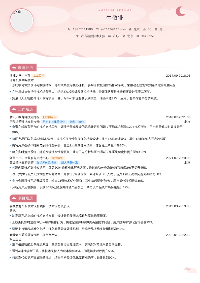 产品运营技术支持简历模板
