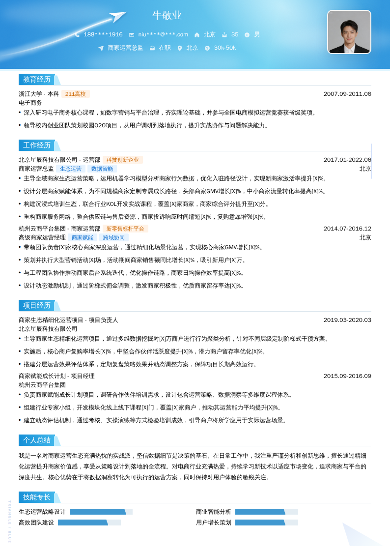 商家运营总监简历模板