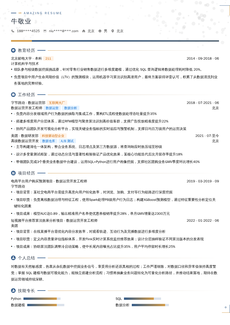 数据运营开发简历模板